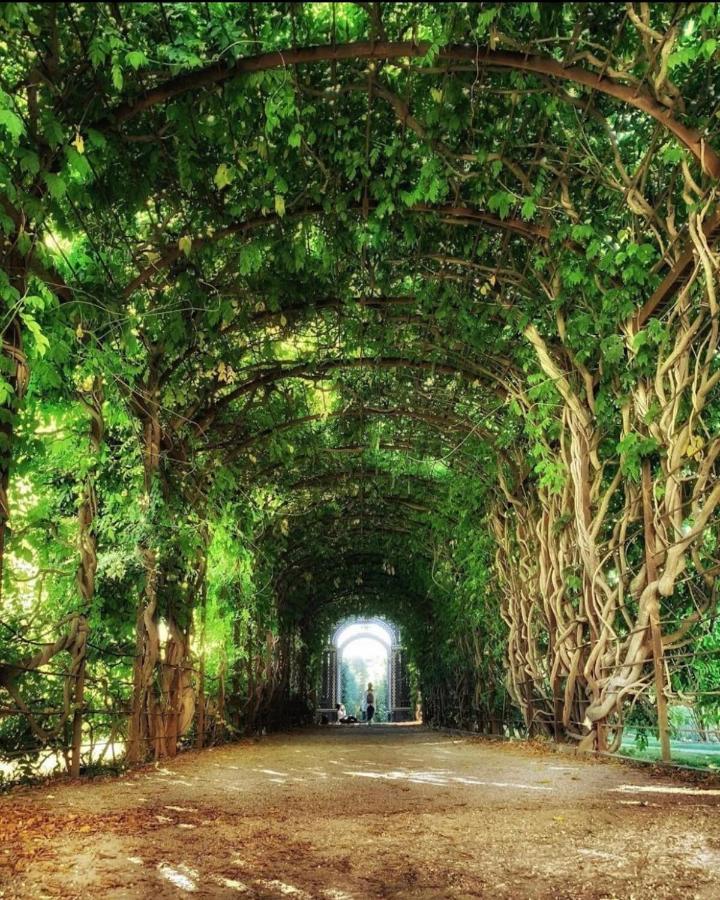 Luxe View Schoenbrunn Suite Wiedeń Zewnętrze zdjęcie